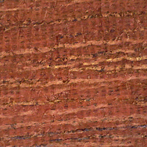 Ipê longitudinal view of grain cross section at magnification thumbnail