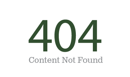 404 Page Not found